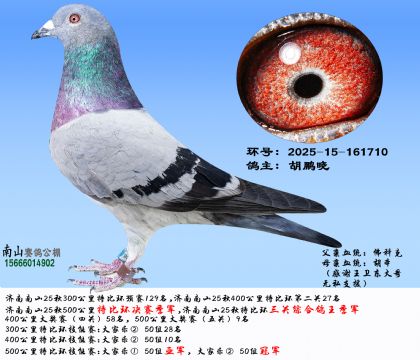 رȭh(hun)Qِ܊رȭh(hun)P(gun)C܊