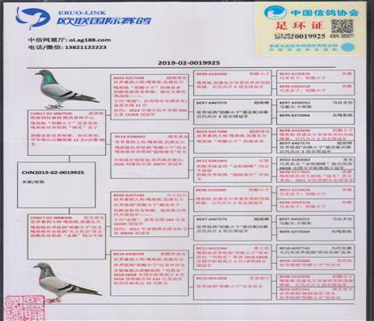 ���HѪ�y(t��ng)��