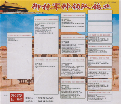 父親血統(tǒng)書