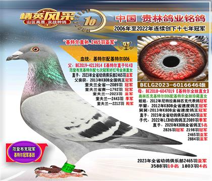 父:基特爾直孫.2465羽亞軍