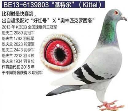 祖父:基特爾欣賞