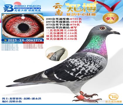 ����֪���Qِ2��