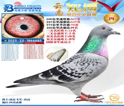 ����֪���Qِ4��