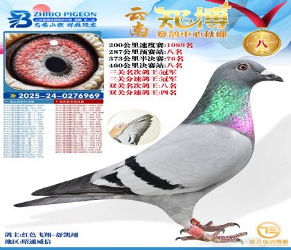 ����֪���Qِ8�������P������܊��