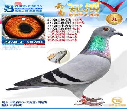 ����֪���Qِ9��