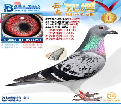 ����֪���Qِ10��