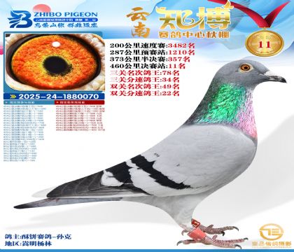 ����֪���Qِ11��