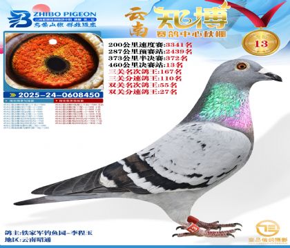 ����֪���Qِ13��