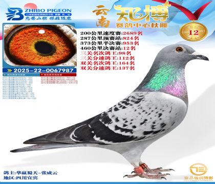 ����֪���Qِ12��