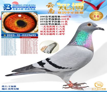 ����֪���Qِ14�������P����6����