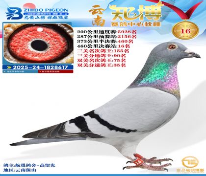 ����֪���Qِ16��