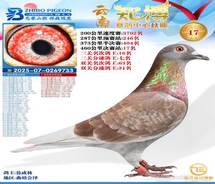 ����֪���Qِ17��