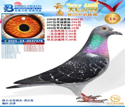 ����֪���Qِ18��