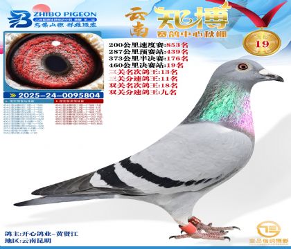 ����֪���Qِ19��