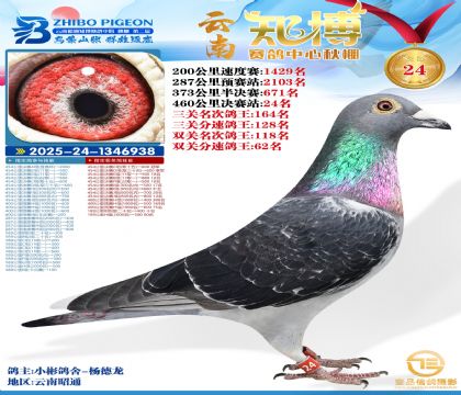 ����֪���Qِ24��