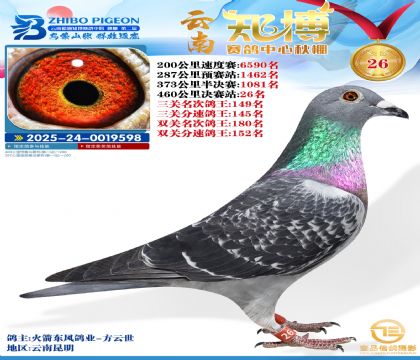 ����֪���Qِ26��