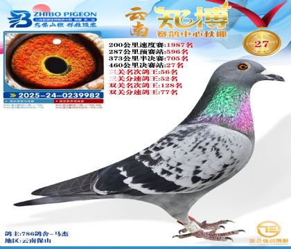 ����֪���Qِ27��