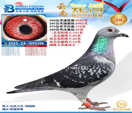 ����֪���Qِ28��