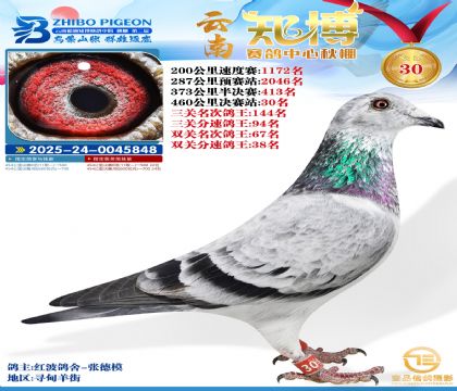 ����֪���Qِ30��