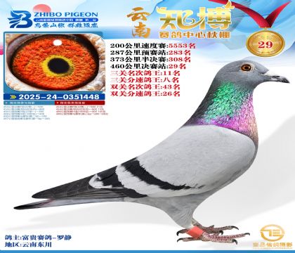 ����֪���Qِ29��