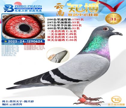 ����֪���Qِ31�������P����5����