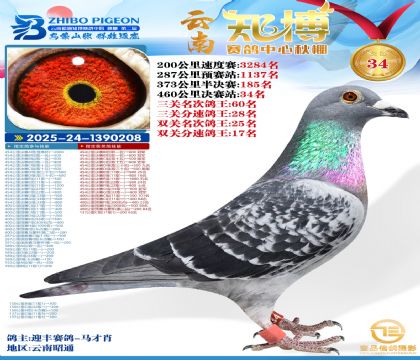 ����֪���Qِ34��