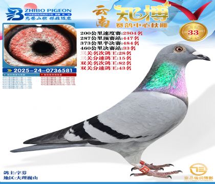 ����֪���Qِ33��