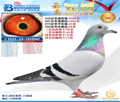 ����֪���Qِ36��