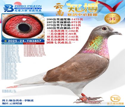 ����֪���Qِ37��