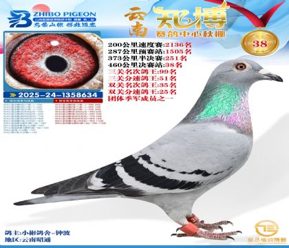 ����֪���Qِ38��