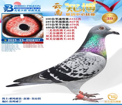 ����֪���Qِ39��