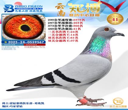 ����֪���Qِ41��