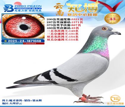 ����֪���Qِ43��