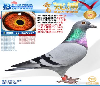 ����֪���Qِ42��