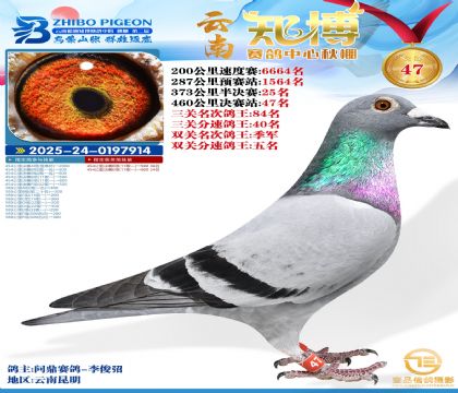 ����֪���Qِ47��