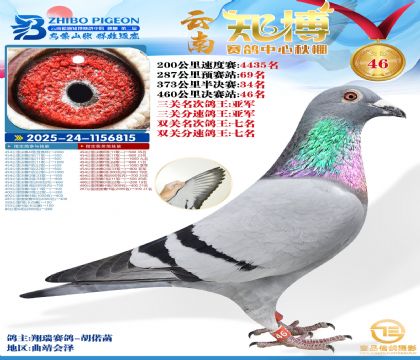 ����֪���Qِ46�������P������܊��