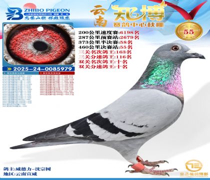 ����֪���Qِ55��