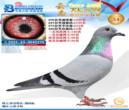 ����֪���Qِ54��