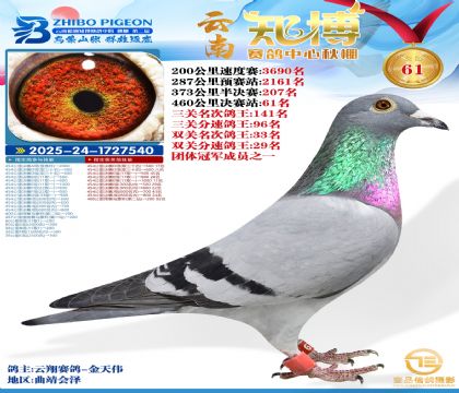 ����֪���Qِ61��