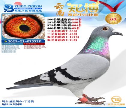 ����֪���Qِ63��