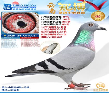 ����֪���Qِ65�������P����7����