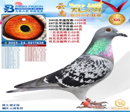 ����֪���Qِ66��