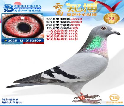 ����֪���Qِ72��