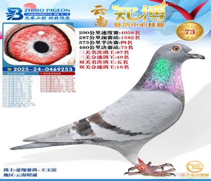 ����֪���Qِ73��