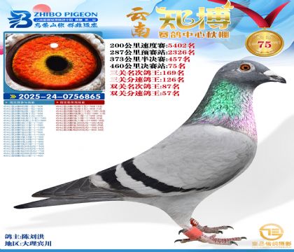 ����֪���Qِ75��