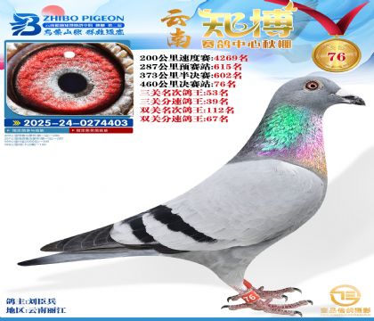 ����֪���Qِ76��