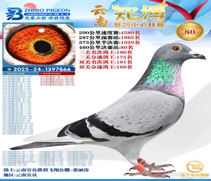 ����֪���Qِ80��