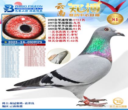 ����֪���Qِ81�������P������܊��