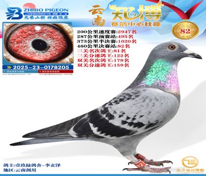 ����֪���Qِ82��