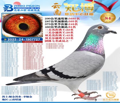 ����֪���Qِ84��